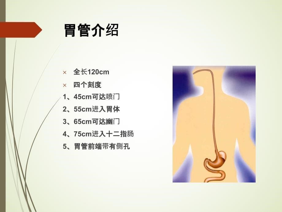 鼻饲病人的护理ppt课件_第5页