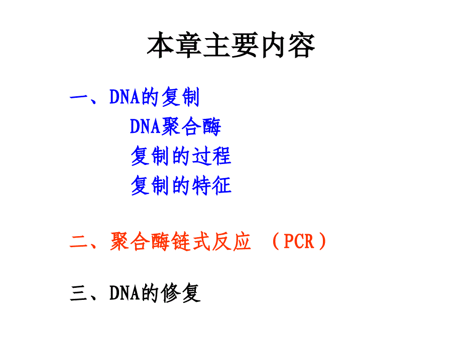 第34章DNA的复制2_第2页