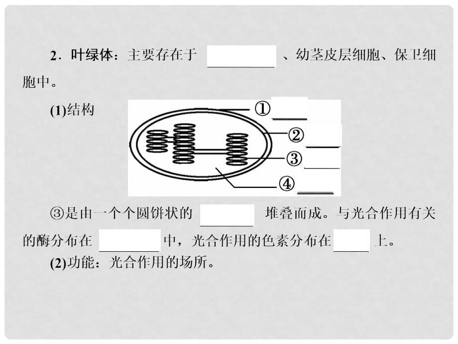 高考生物一轮复习 第二单元 细胞的基本结构和物质运输功能 第6讲 细胞器与生物膜系统课件 新人教版_第5页