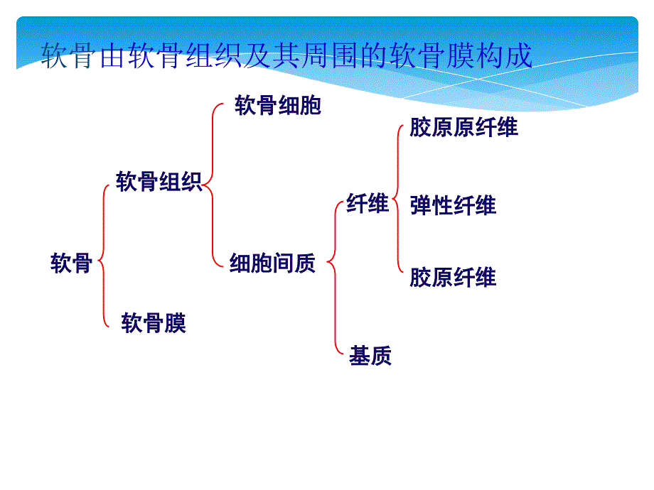 软骨组织工程_第2页