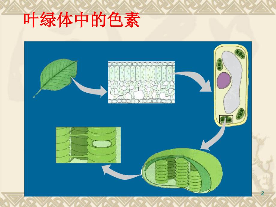 生物：5.4《能量之源---光与光合作用》课件(新人教版必修1)_第2页