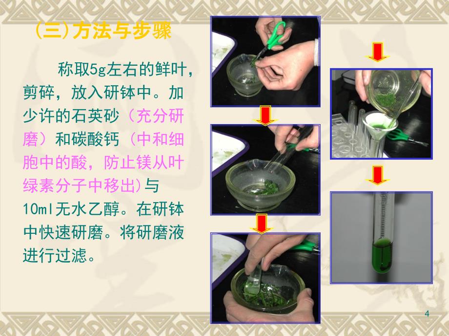 生物：5.4《能量之源---光与光合作用》课件(新人教版必修1)_第4页