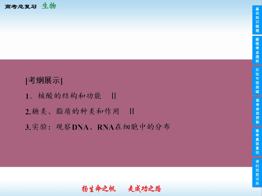 高中生物一轮复习人教版2ppt课件_第2页