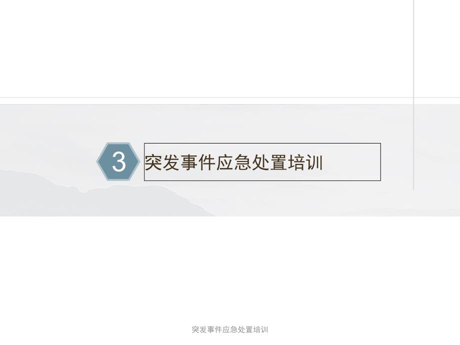 突事件应急处置培训课件_第1页