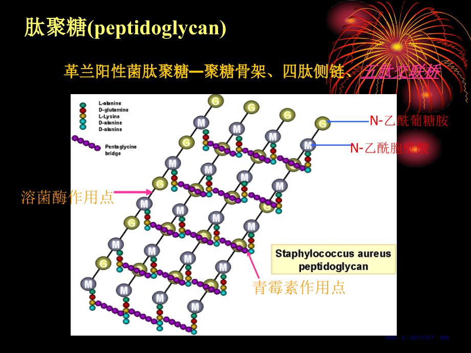 【医学研究抗感染中国专家共识_第3页