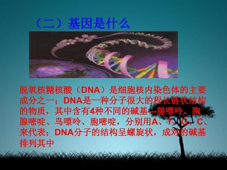 八年级生物上册第二节生物的遗传物质课件北京课改版课件_第5页