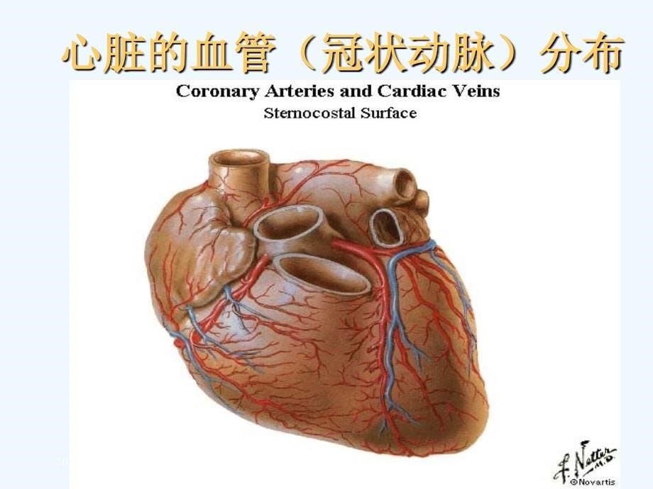 肥胖、血脂异常对冠心病的影响及治疗（73页）讲座_第5页