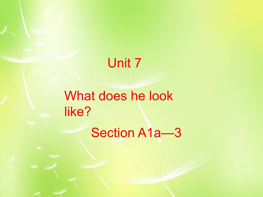 七年级英语 Unit 7 What does he look like Section A（1a-3）课件_第2页