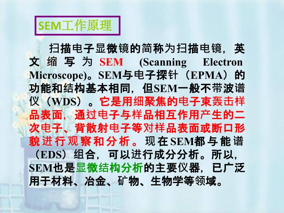 SEM的原理及应用_第3页