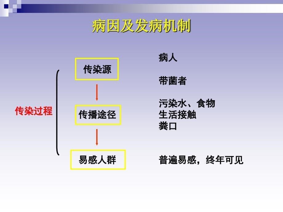 《病理学教学课件》yu伤寒、菌痢_第5页