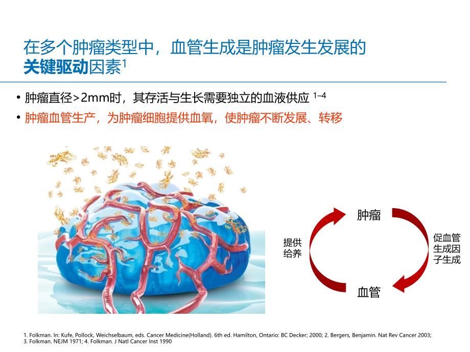 安维汀抗血管治疗机制_第4页