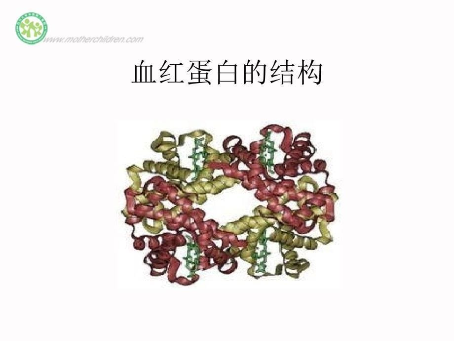 儿科学-杨速飞-缺铁性贫血-临床医学八年制_第5页