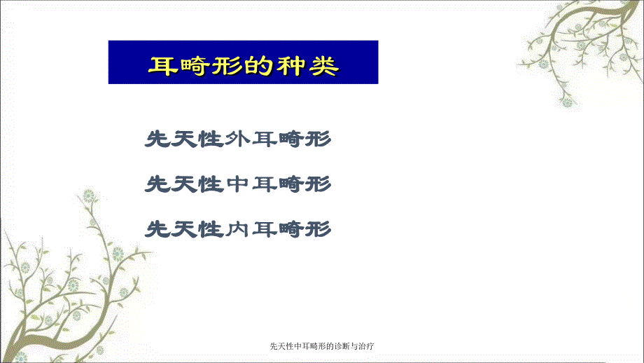 先天性中耳畸形的诊断与治疗_第2页