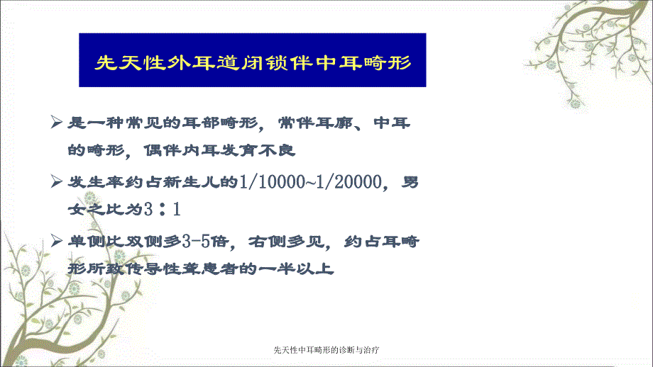 先天性中耳畸形的诊断与治疗_第4页