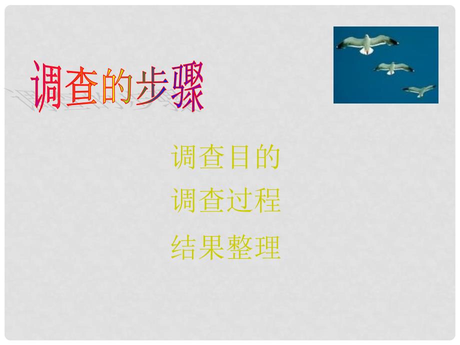 天津市宝坻区新安镇第一初级中学七年级生物上册 第一单元 第一章 第二节 调查我们身边的生物课件 新人教版_第3页