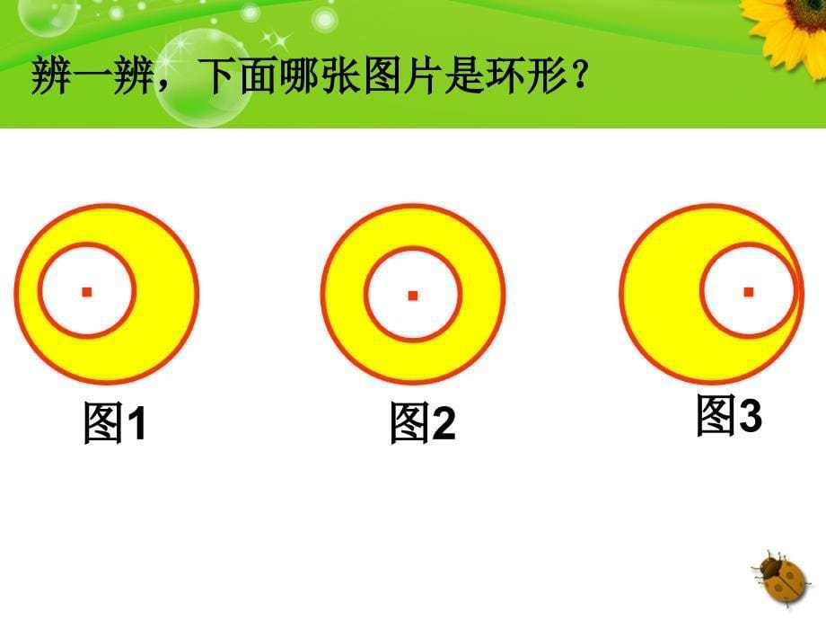 环形的面积课件_第5页