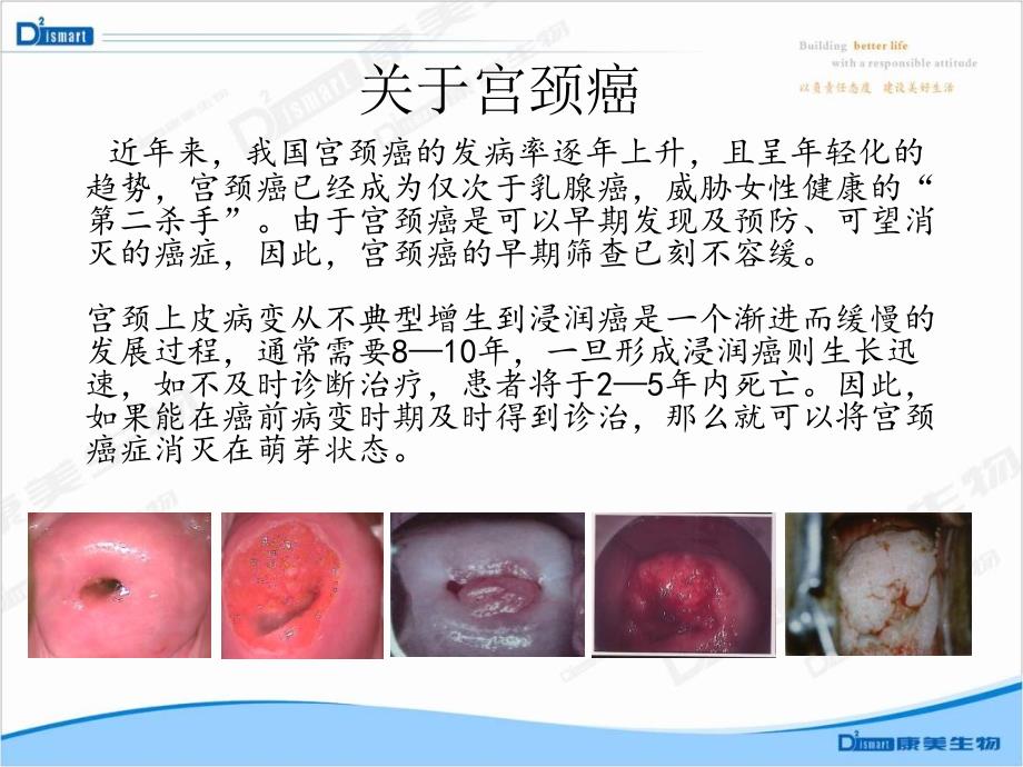 HPV病毒介绍及检测意义_第3页