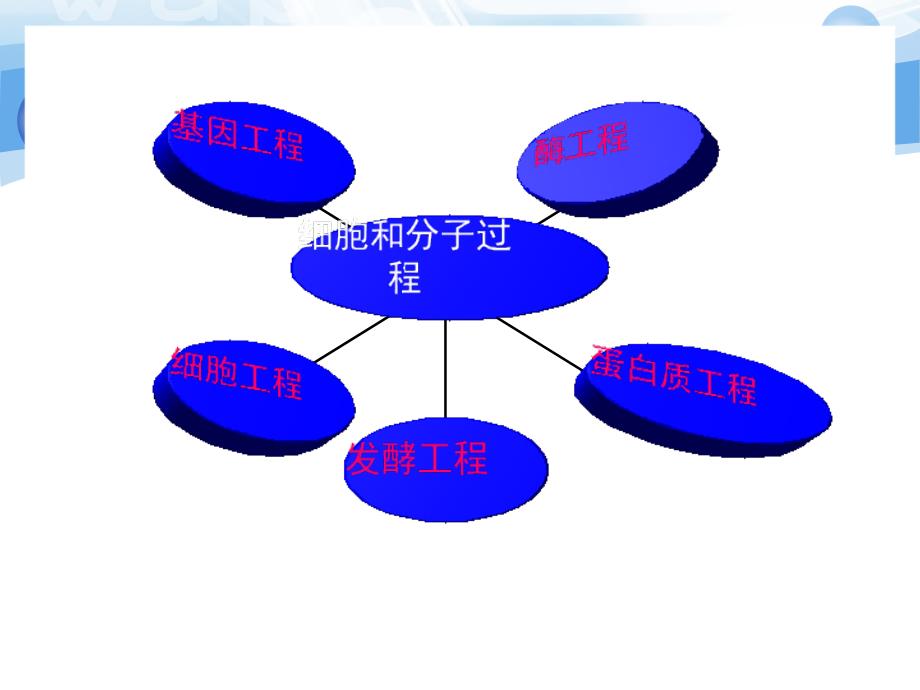 农业生物技术 绪论_第4页