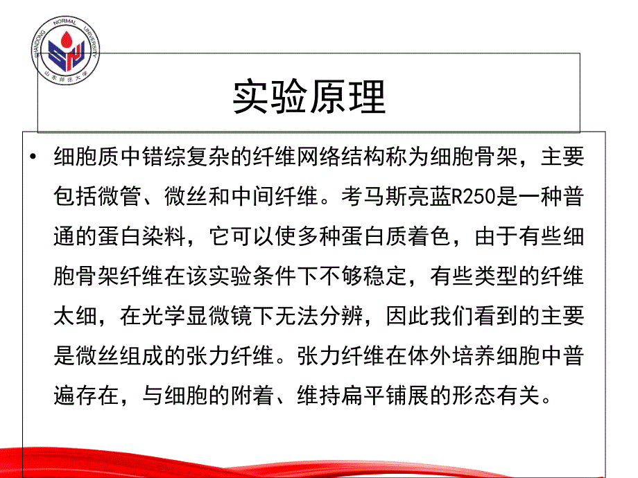 微丝的显示考马斯亮蓝法_第3页