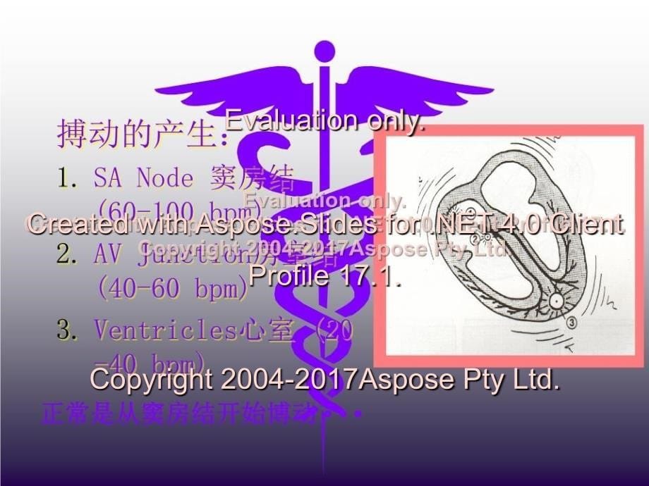 实用电除颤技术PPT课件_第5页