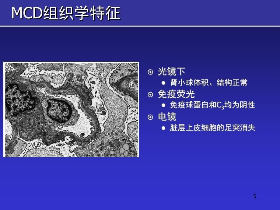 环孢素在MCD肾病综合征中的临床应用精选幻灯片_第5页