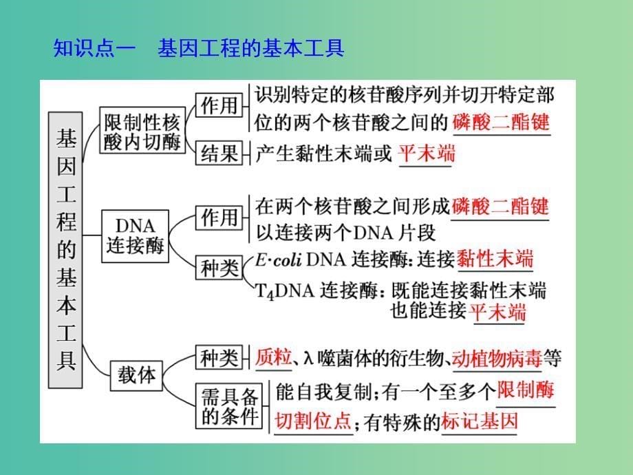 高考生物一轮复习现代生物科技专题第一讲基因工程精盐件.ppt_第5页