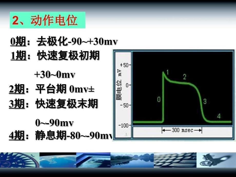 《心脏的电生理特性》PPT课件_第5页