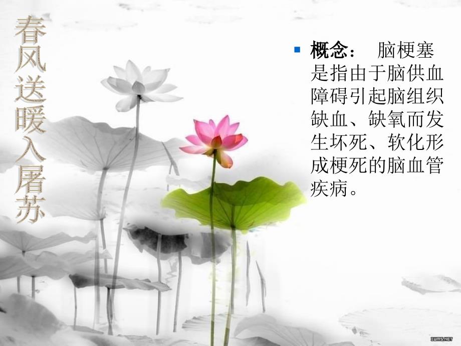 脑梗塞的健康教育.ppt_第3页