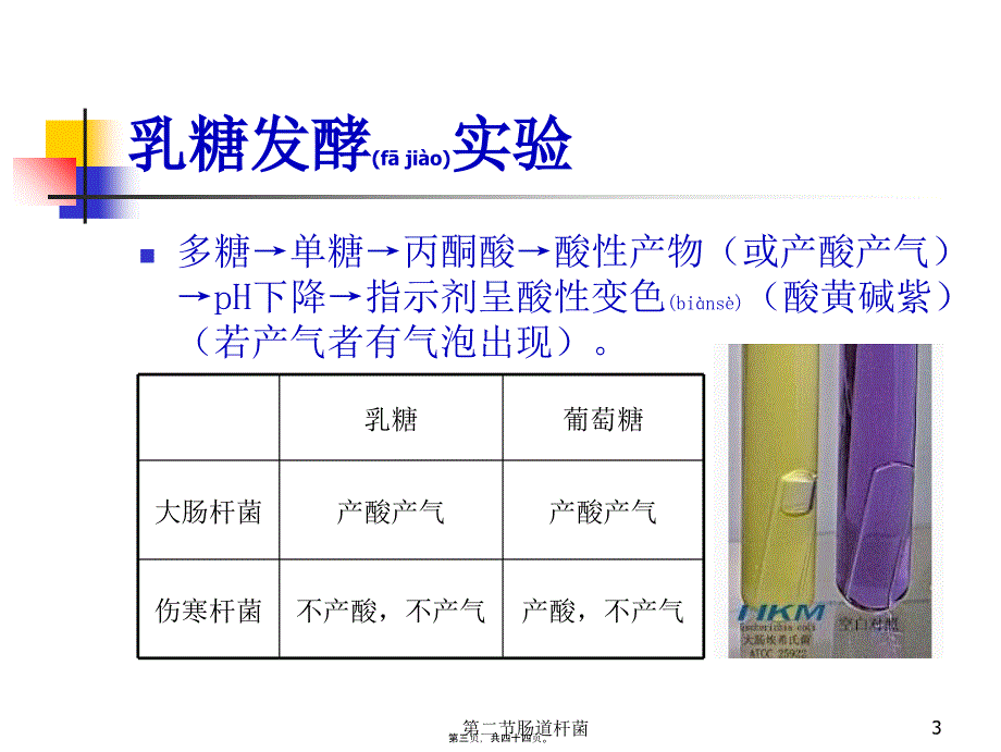 第二节肠道杆菌课件_第3页