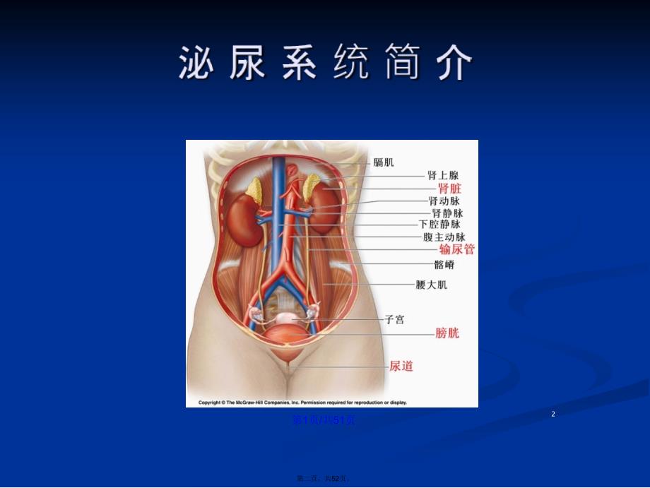 尿液检验单的解读学习教案_第2页