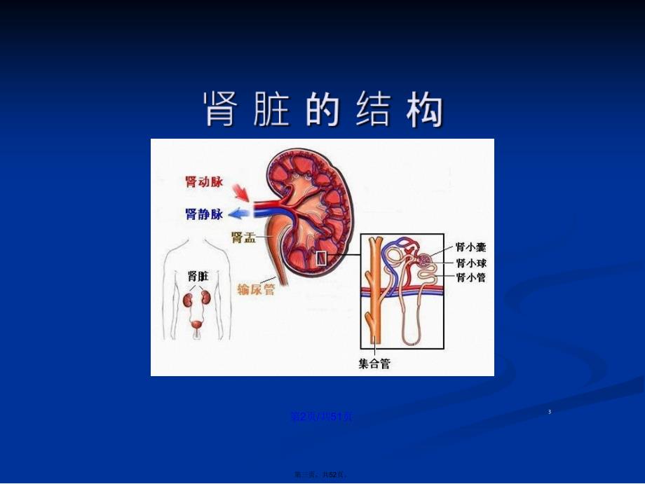 尿液检验单的解读学习教案_第3页