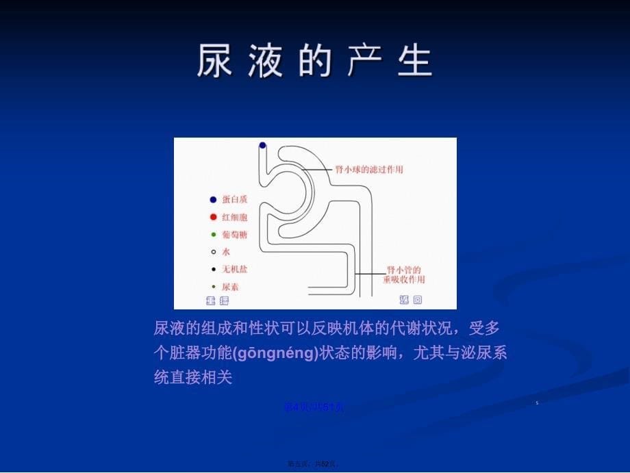 尿液检验单的解读学习教案_第5页