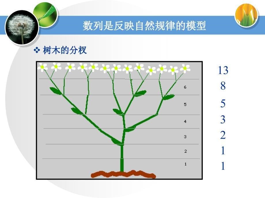 好好数列的概念_第5页