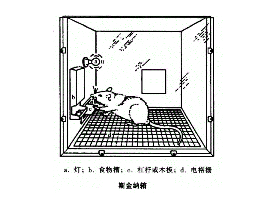 物理课程与教学论.ppt_第4页