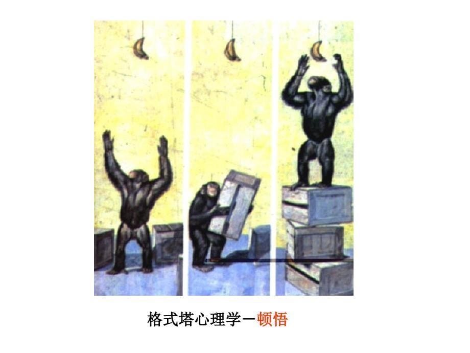 物理课程与教学论.ppt_第5页