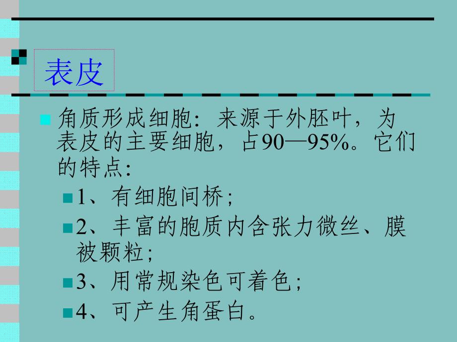 《正常皮肤组织学周》PPT课件_第4页