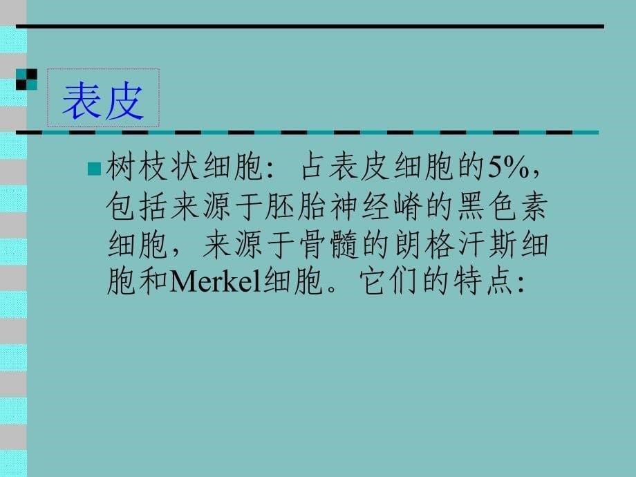 《正常皮肤组织学周》PPT课件_第5页