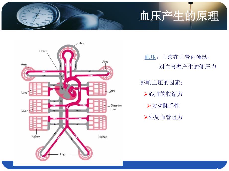 医药代表学术培训高血压医学基础PPT_第4页