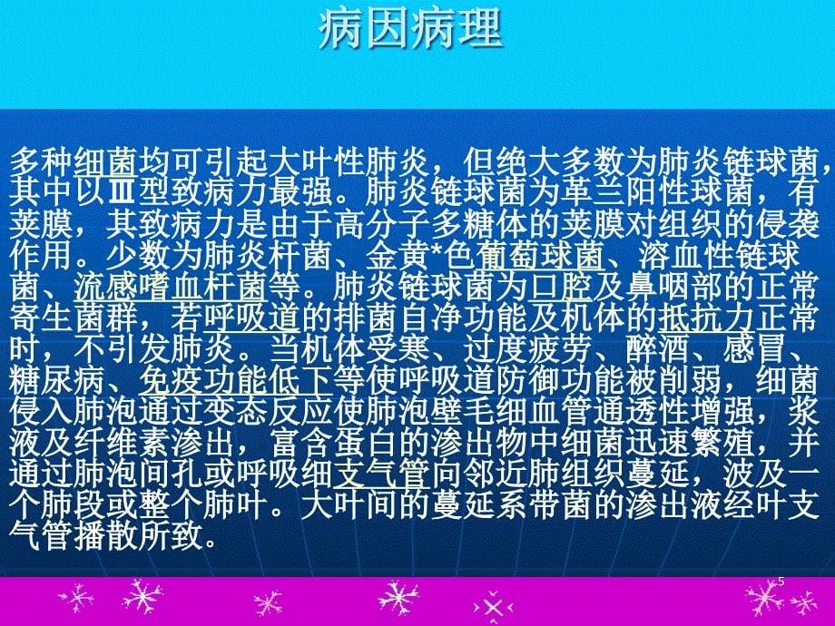 大叶性肺炎的护理查房ppt医学课件_第5页