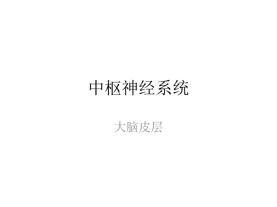 大脑皮层功能区简介_第1页