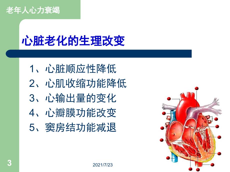 老年心衰和缺血性心脏病PPT课件_第3页