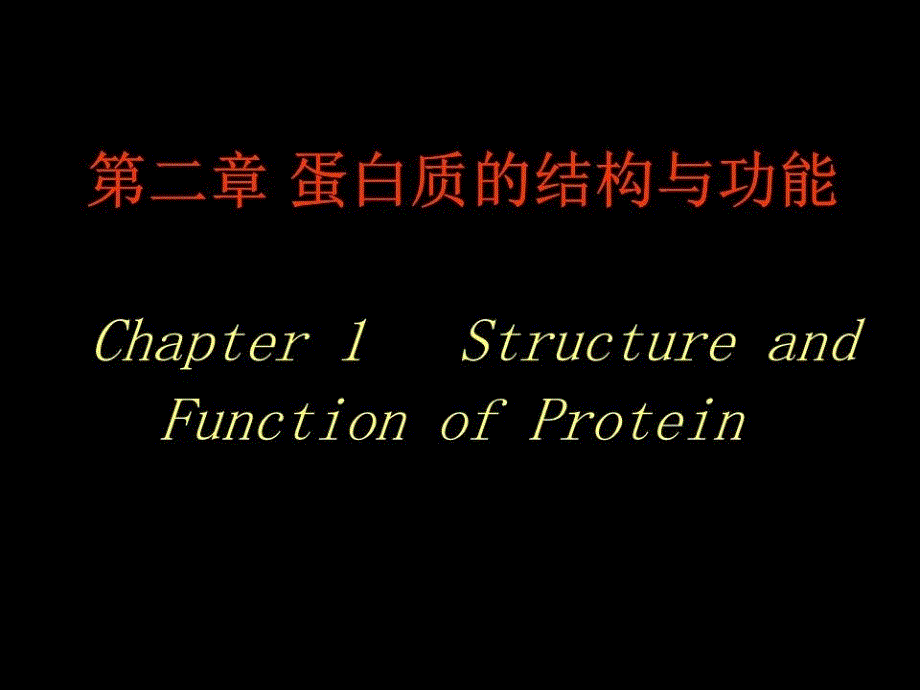 动物生化第二章蛋白质.ppt_第1页