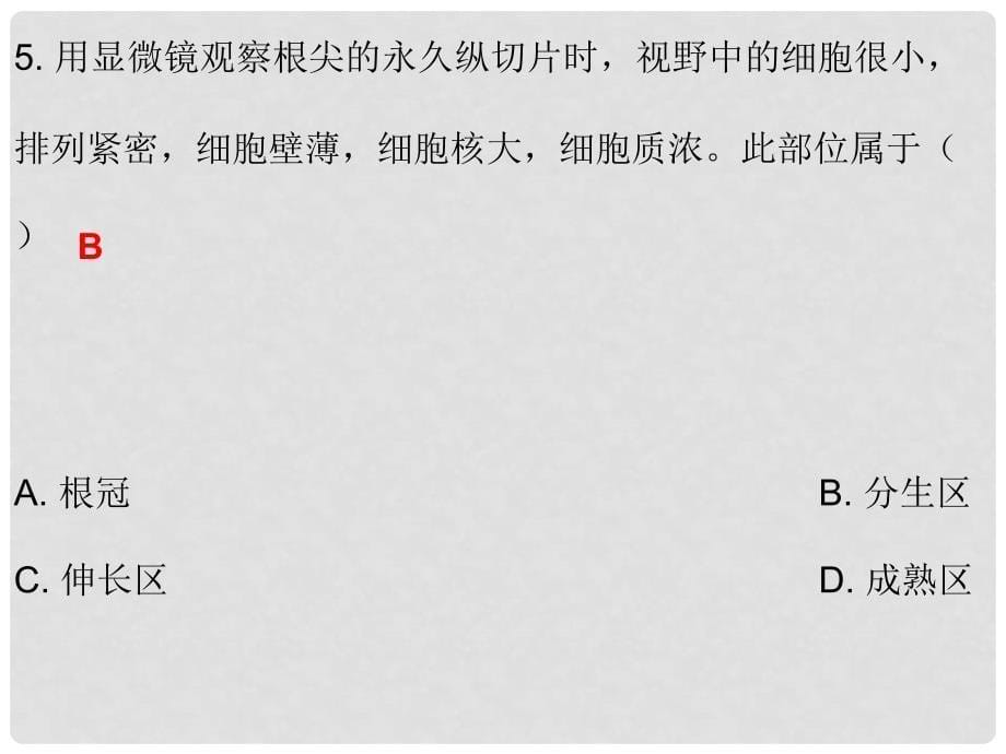 中考生物总复习 专题三 生物圈中的绿色植物课件_第5页