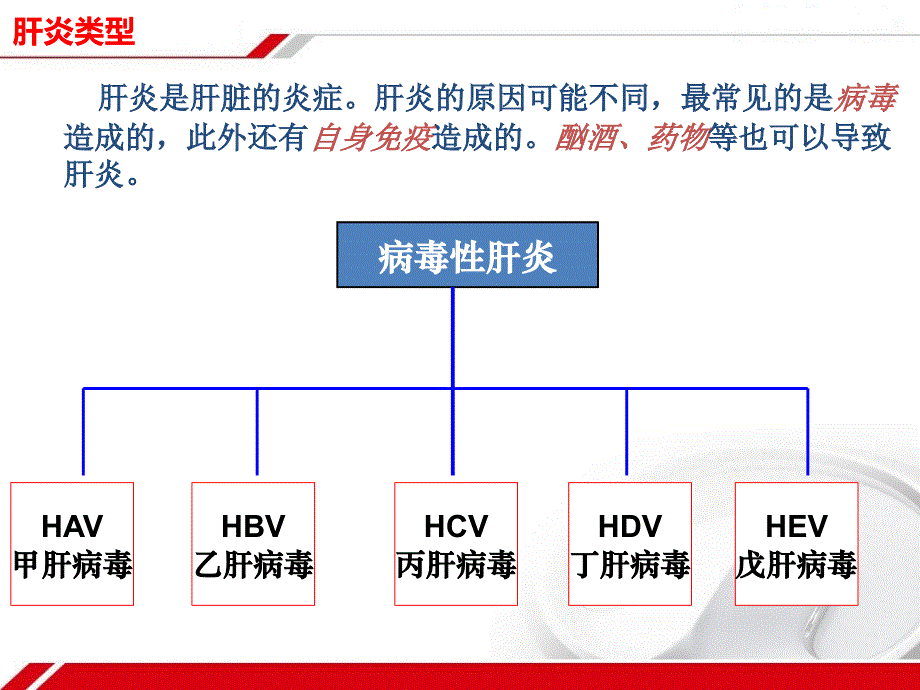 肝炎科普讲座PPT参考课件_第3页