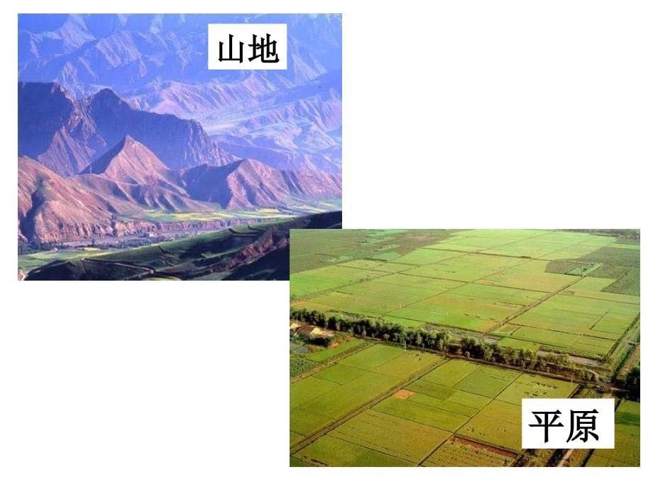 8教科版小学科学五年级上册第三单元《减少对土地的侵蚀》课件_第5页