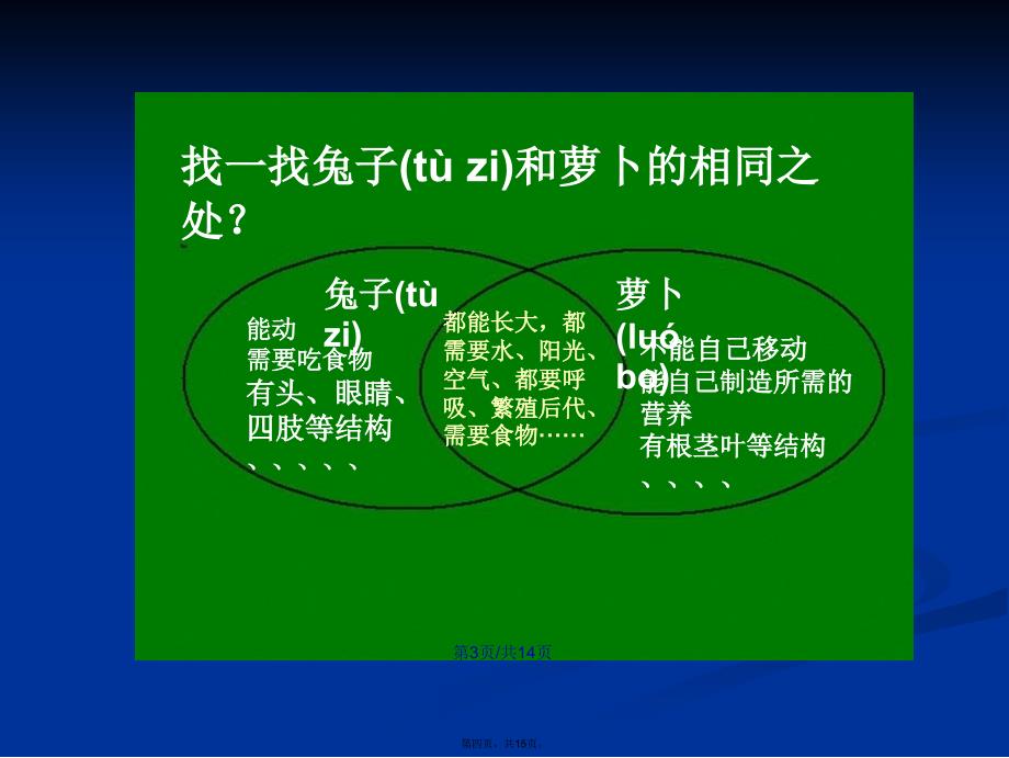 动物植物人学习教案_第4页