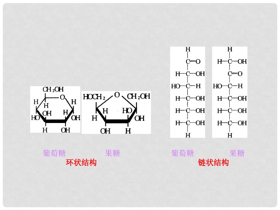 高一生物细胞中的糖类和脂质课件人教版必修1_第4页