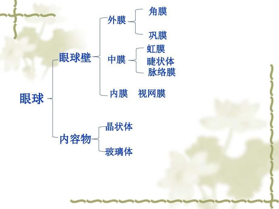 科学&#183;技术&#183;社会　角膜移植、角膜捐献和人造角膜_第5页