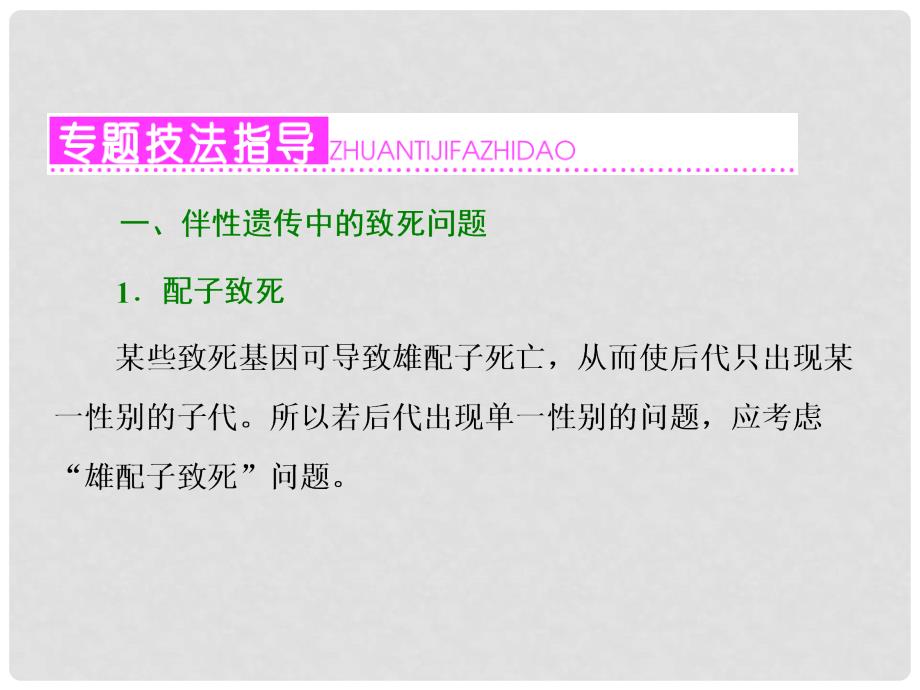 高考生物重点强化 高考常考的5个微专题之（四）伴性遗传与遗传系谱中的特殊问题课件_第2页