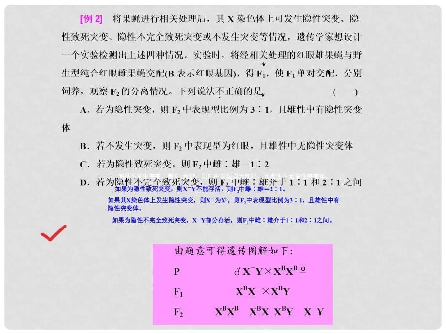 高考生物重点强化 高考常考的5个微专题之（四）伴性遗传与遗传系谱中的特殊问题课件_第5页